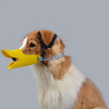 Hundmuzzle - Söt justerbar ankdjursnäbb för din hund