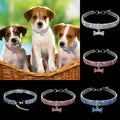 Glamorös Hundhalsband – SparkleCollar