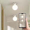 Evandale Taklampa