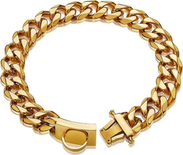 Titaniumstål Hundhalsband
