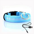 LED Hundhalsband - GlowCollar