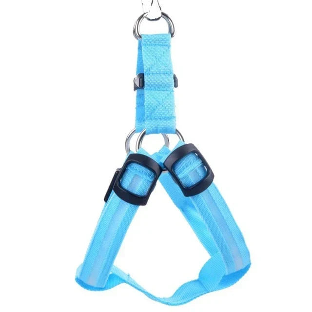 GlowSafe LED Hundsele