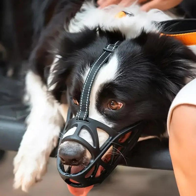 SafeBark • Hundmask