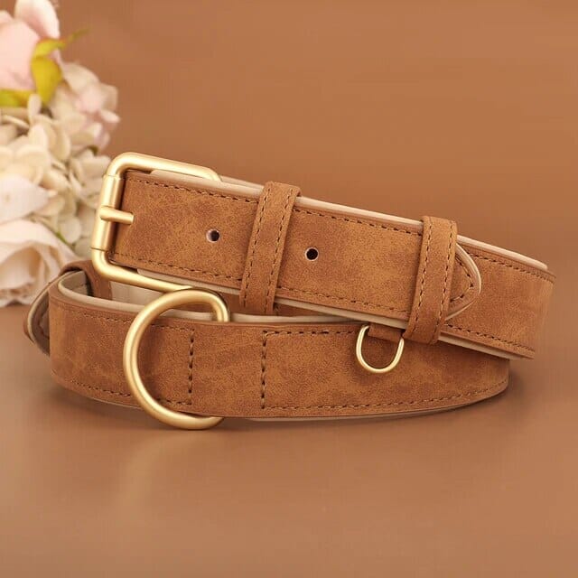 Valp Halsband
