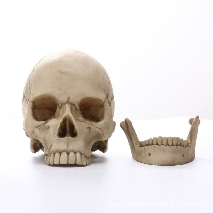 1:1 Mänsklig Huvudskalle Staty för Heminredning Resinfigurer Halloween Dekoration Skulptur Medicinsk Undervisningsskissmodell Hantverk