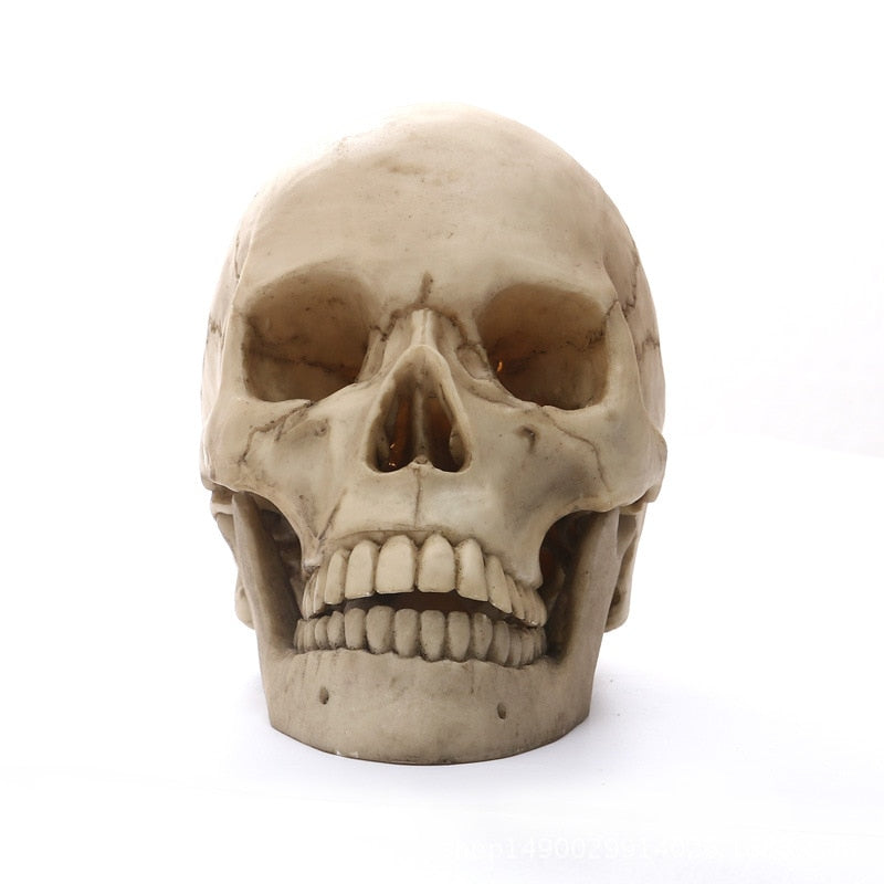 1:1 Mänsklig Huvudskalle Staty för Heminredning Resinfigurer Halloween Dekoration Skulptur Medicinsk Undervisningsskissmodell Hantverk