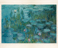 Monet Vattenlilja PVC Entrématta