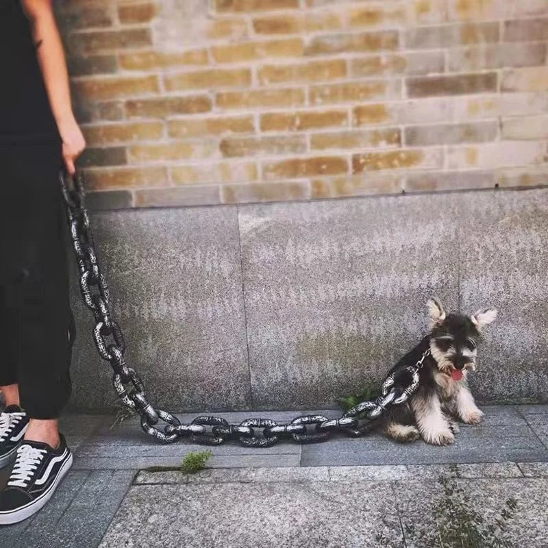 Rolig Stor Hundkoppel