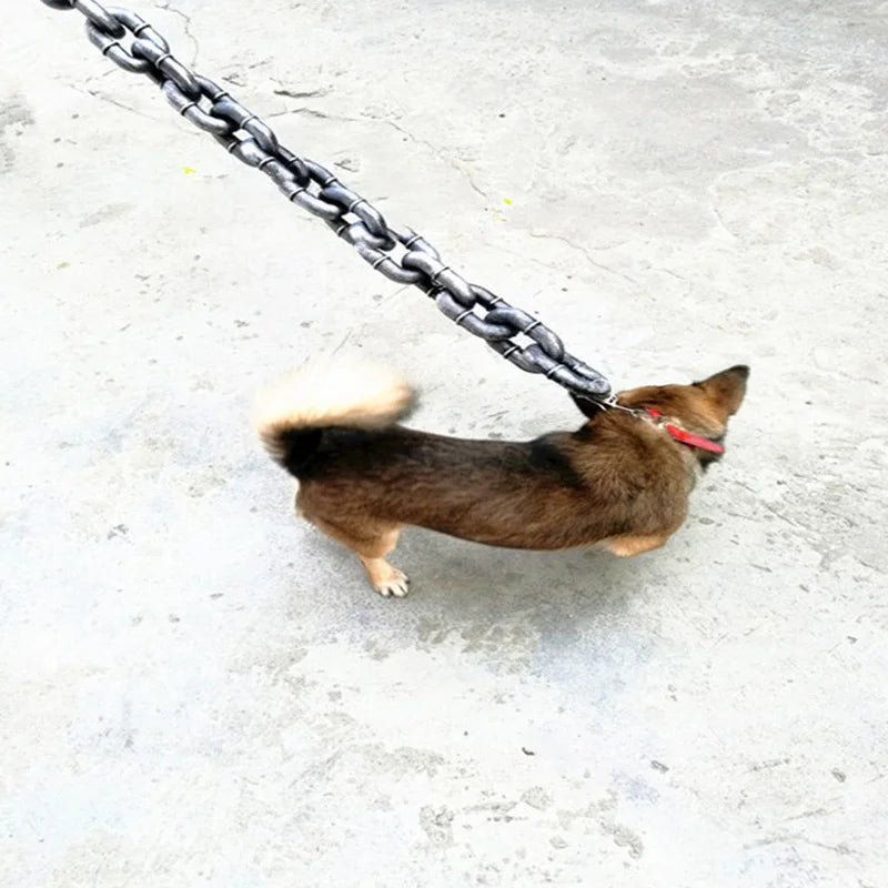 Rolig Stor Hundkoppel