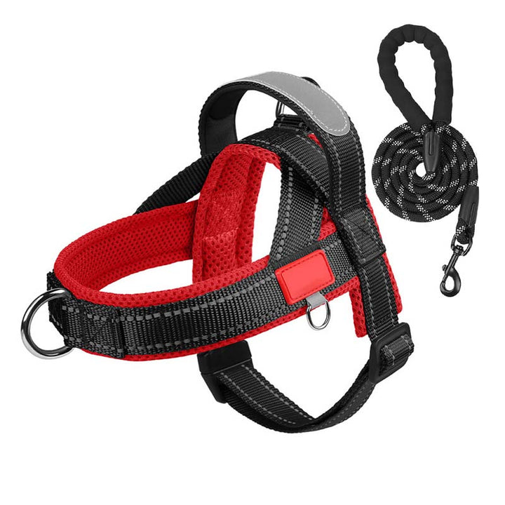 PawEase Comfort Harness — Avslappnad påklädning och oändlig frihet för din hund |