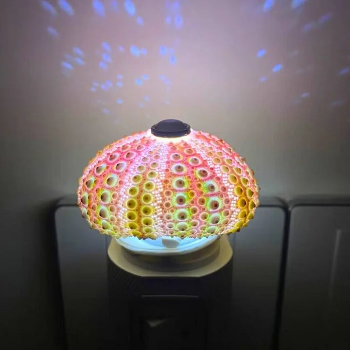 LumiCraft – Unik DIY bordslampa med naturlig sjöborre för en mysig inredning