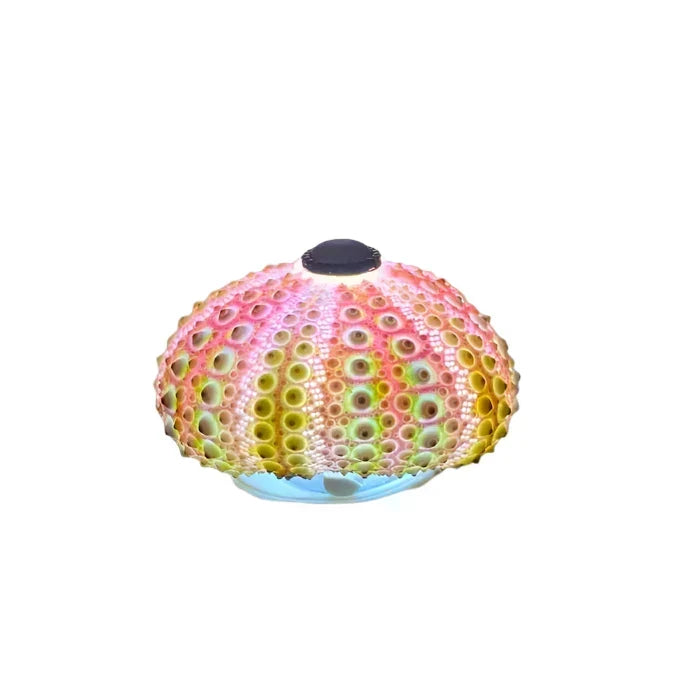 CoastalGlow DIY Igelkotts Nattlampa
