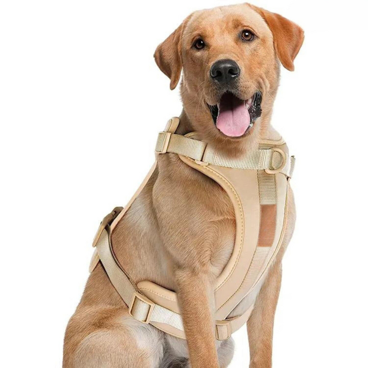 ComfyPaws Hundsele Gå-set med Koppel och Påsehållare