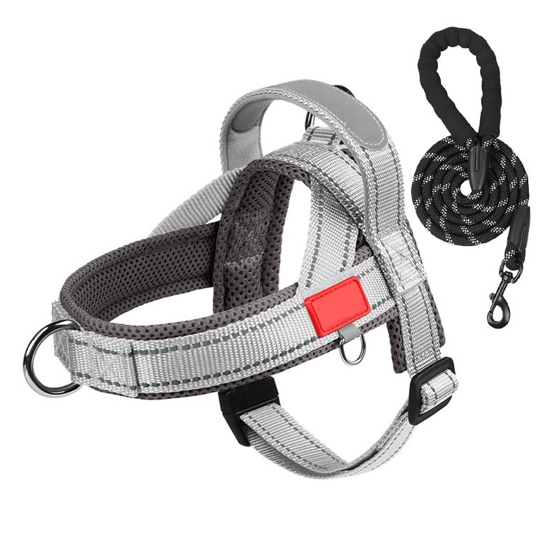 PawEase Comfort Harness — Avslappnad påklädning och oändlig frihet för din hund |