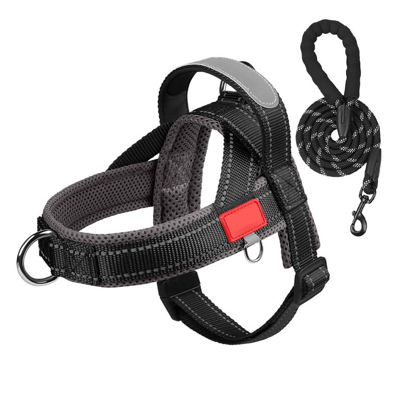 PawEase Comfort Harness — Avslappnad påklädning och oändlig frihet för din hund |