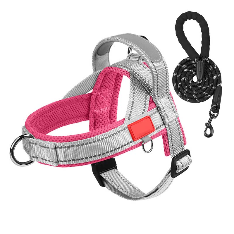 PawEase Comfort Harness — Avslappnad påklädning och oändlig frihet för din hund |