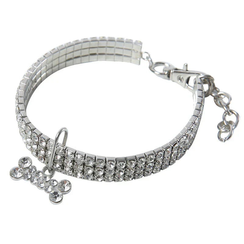 Glamorös Hundhalsband – SparkleCollar