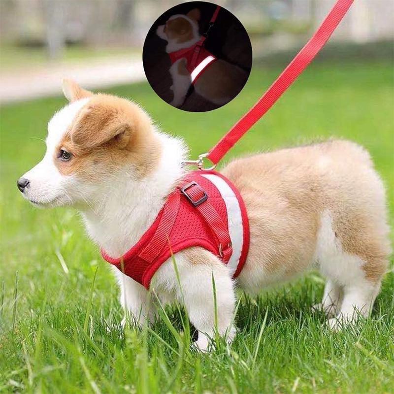 Reflekterande Säkerhets Hundsele och Koppel Set Erbjudande