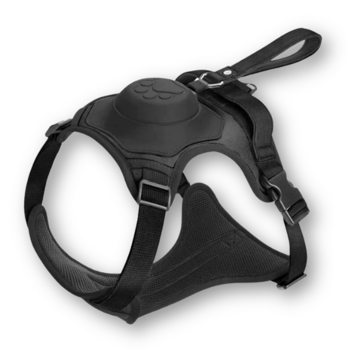 FlexiHarness – Bekväm 2-i-1 Hundsele med Koppel
