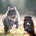 Katt Halsband Med Klocka Och GPS Tracker Hållare