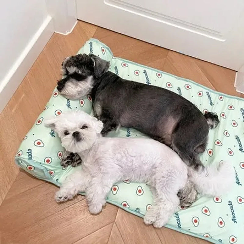 Ishsilke Kylmatta för Hundar &amp; Katter🐶 |