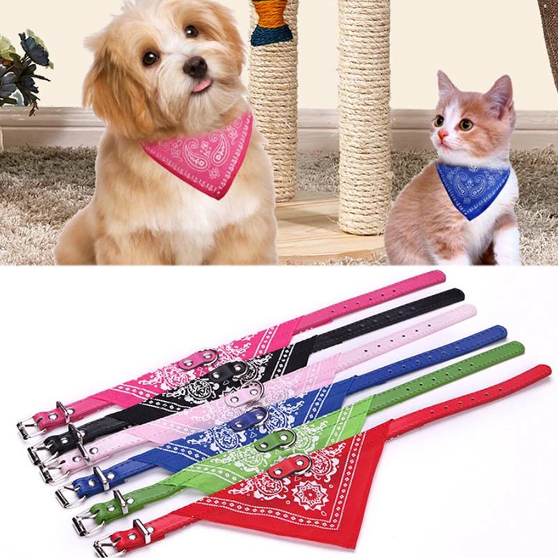 Halsband Bandana för Husdjur