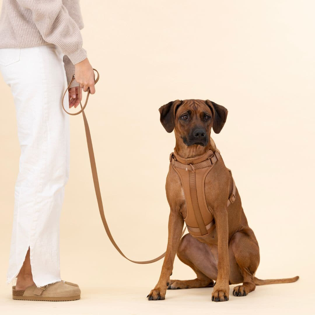 ComfyPaws Hundsele Gå-set med Koppel och Påsehållare
