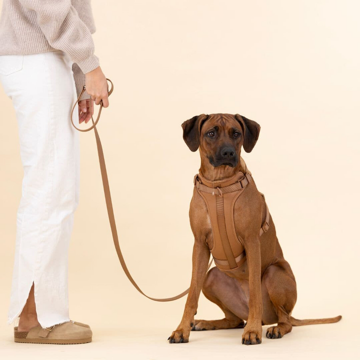 ComfyPaws Hundsele Gå-set med Koppel och Påsehållare