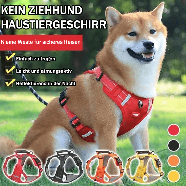 Ingen Dragsele för Hundar