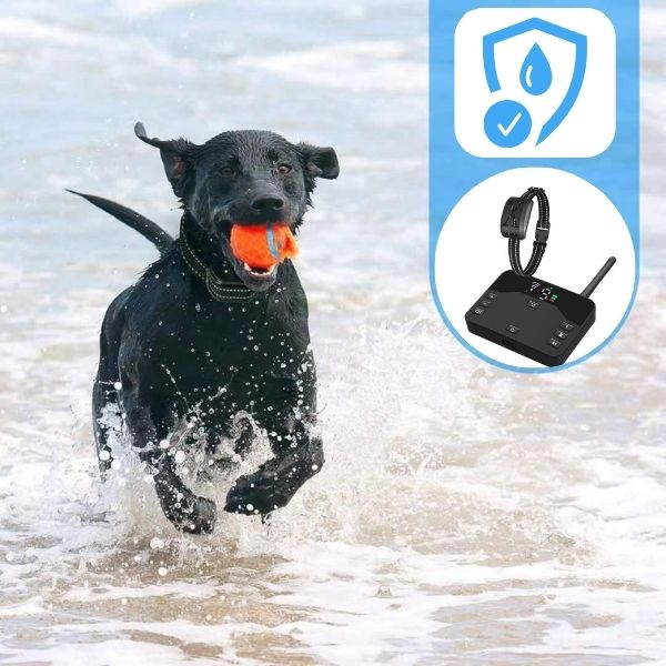 2-i-1 Trådlösa Hundträningshalsband och Hundstängsel Ljudkontroll Elektrisk och Vibrerande Stöt Hundhalsband Stängsel Från 20 till 500 Meter