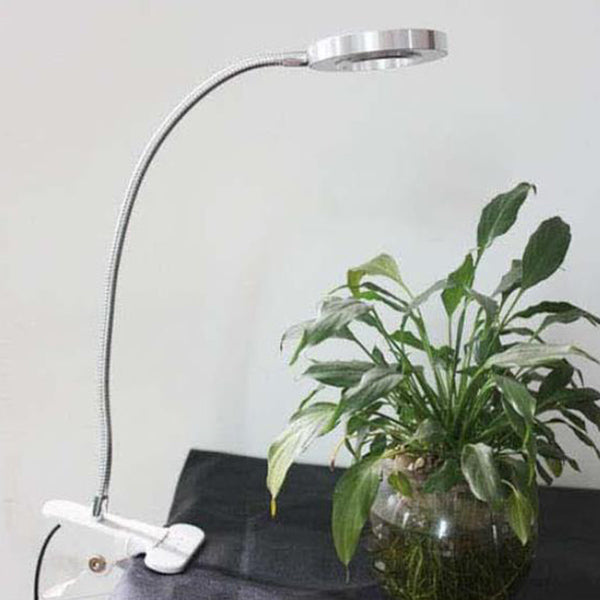Kreativ enkel USB-byxknapp LED-läsclip-lampa