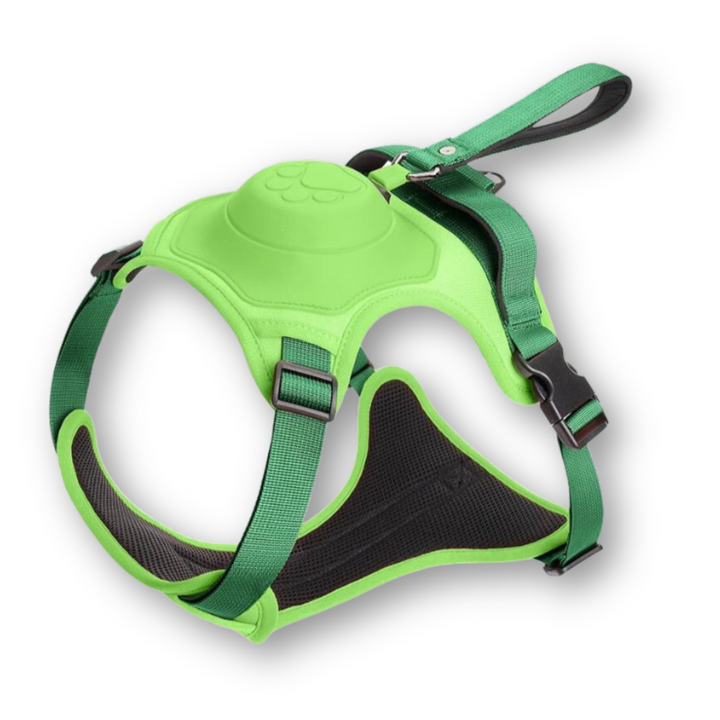 FlexiHarness – Bekväm 2-i-1 Hundsele med Koppel