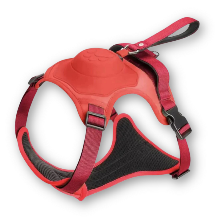 FlexiHarness – Bekväm 2-i-1 Hundsele med Koppel