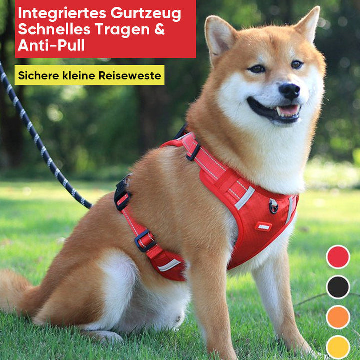 Reflekterande Hundsele |