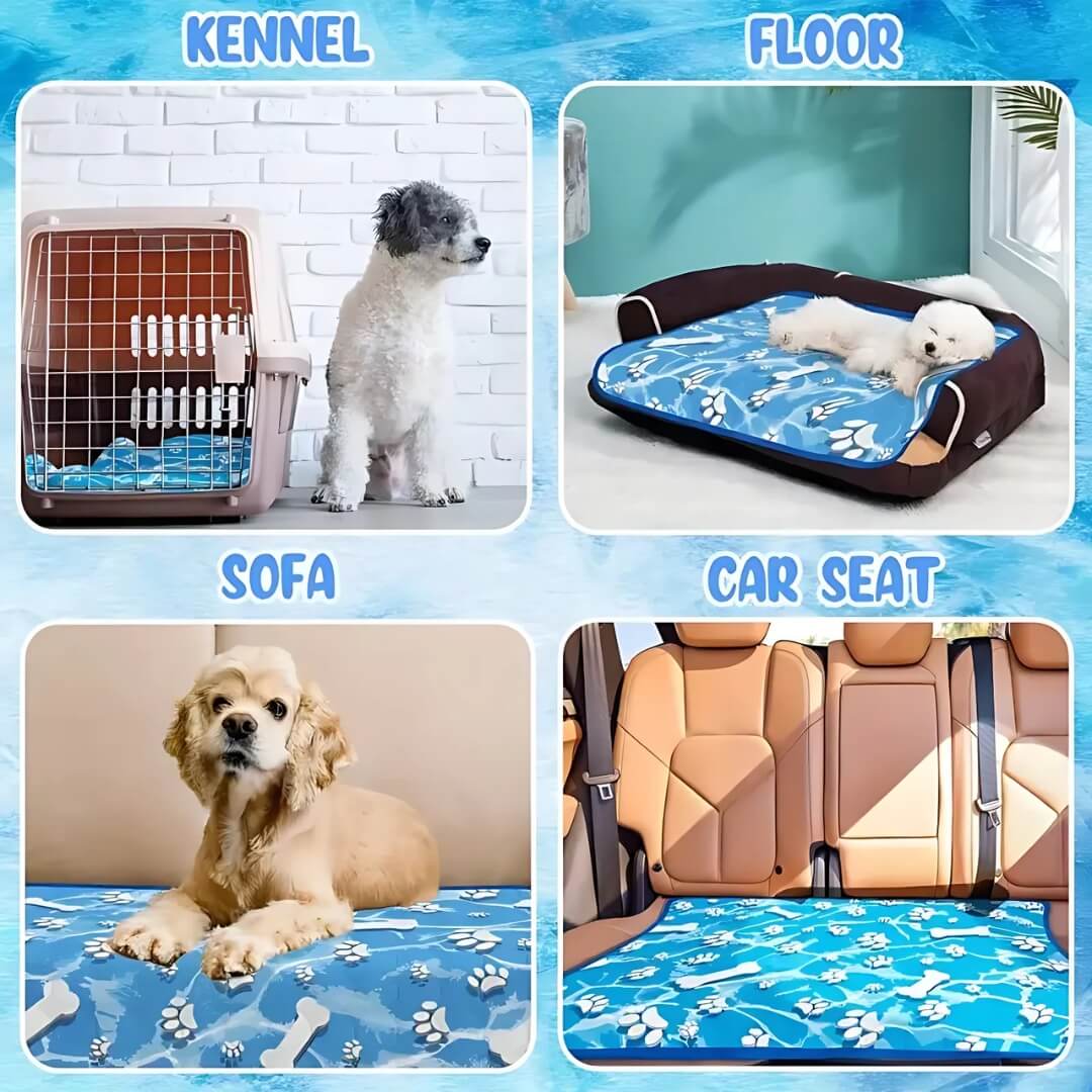 ChillPaws • Hundkylmatta