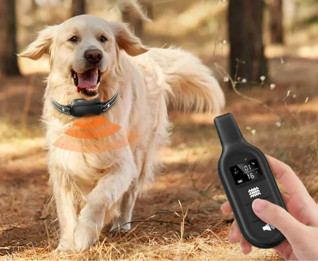 Dog Coach Pro Träningshalsband – Vattentätt Elektroniskt Halsband med Fjärrkontroll