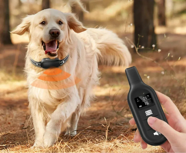 Dog Coach Pro Träningshalsband – Vattentätt Elektroniskt Halsband med Fjärrkontroll