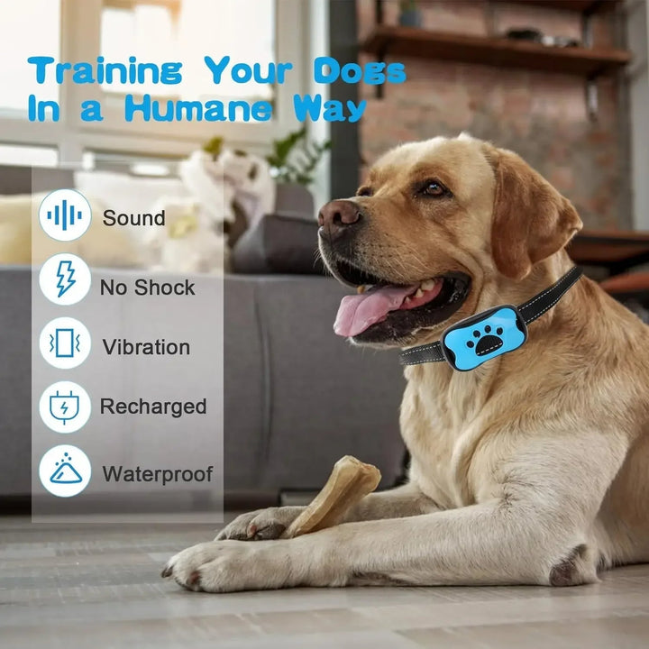 Anti-Bark Hundhalsband – Stoppa oönskat skällande med BarkBuddy vibrationsutbildningshalsband för hundar