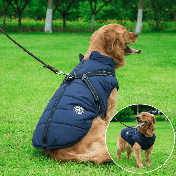 Vinterhundjacka med sele |