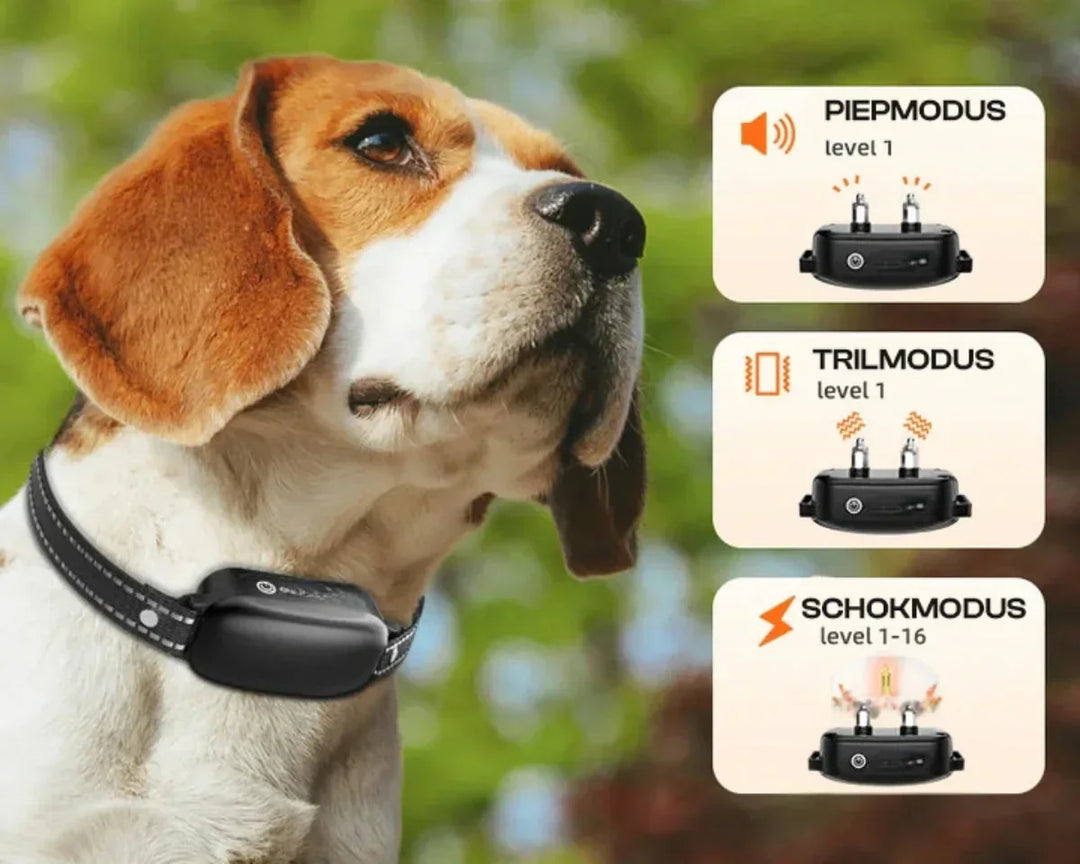 Dog Coach Pro Träningshalsband – Vattentätt Elektroniskt Halsband med Fjärrkontroll