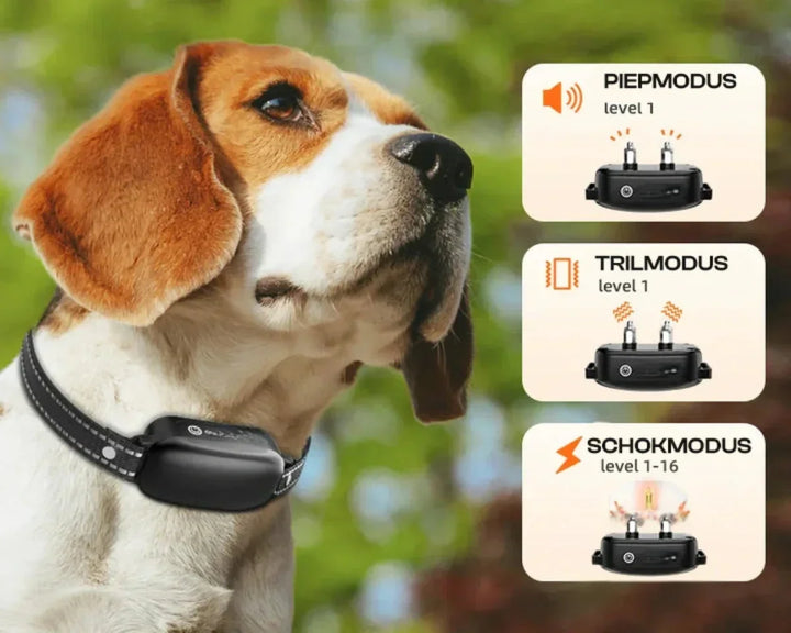 Dog Coach Pro Träningshalsband – Vattentätt Elektroniskt Halsband med Fjärrkontroll