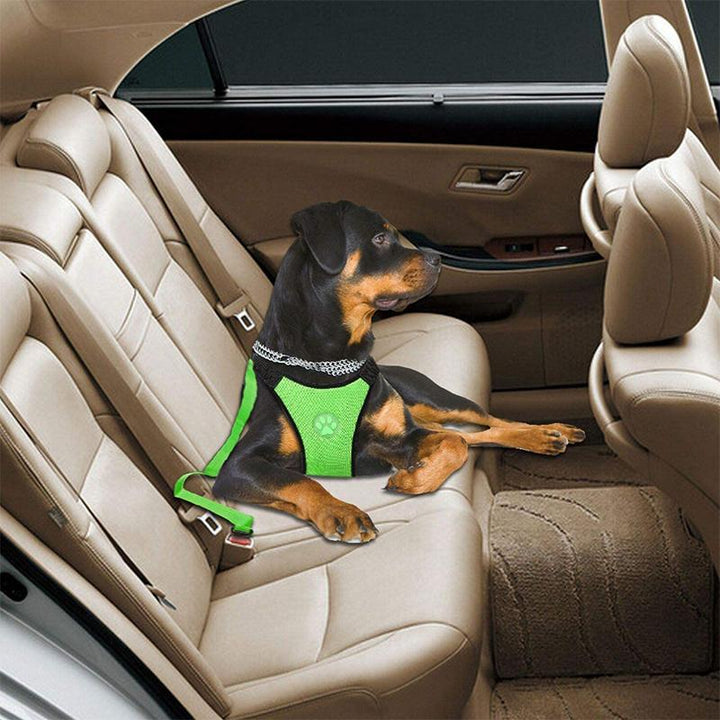 Hundens säkerhetssele-set