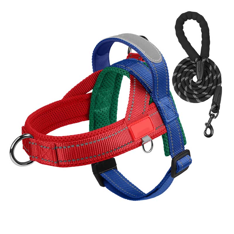 PawEase Comfort Harness — Avslappnad påklädning och oändlig frihet för din hund |