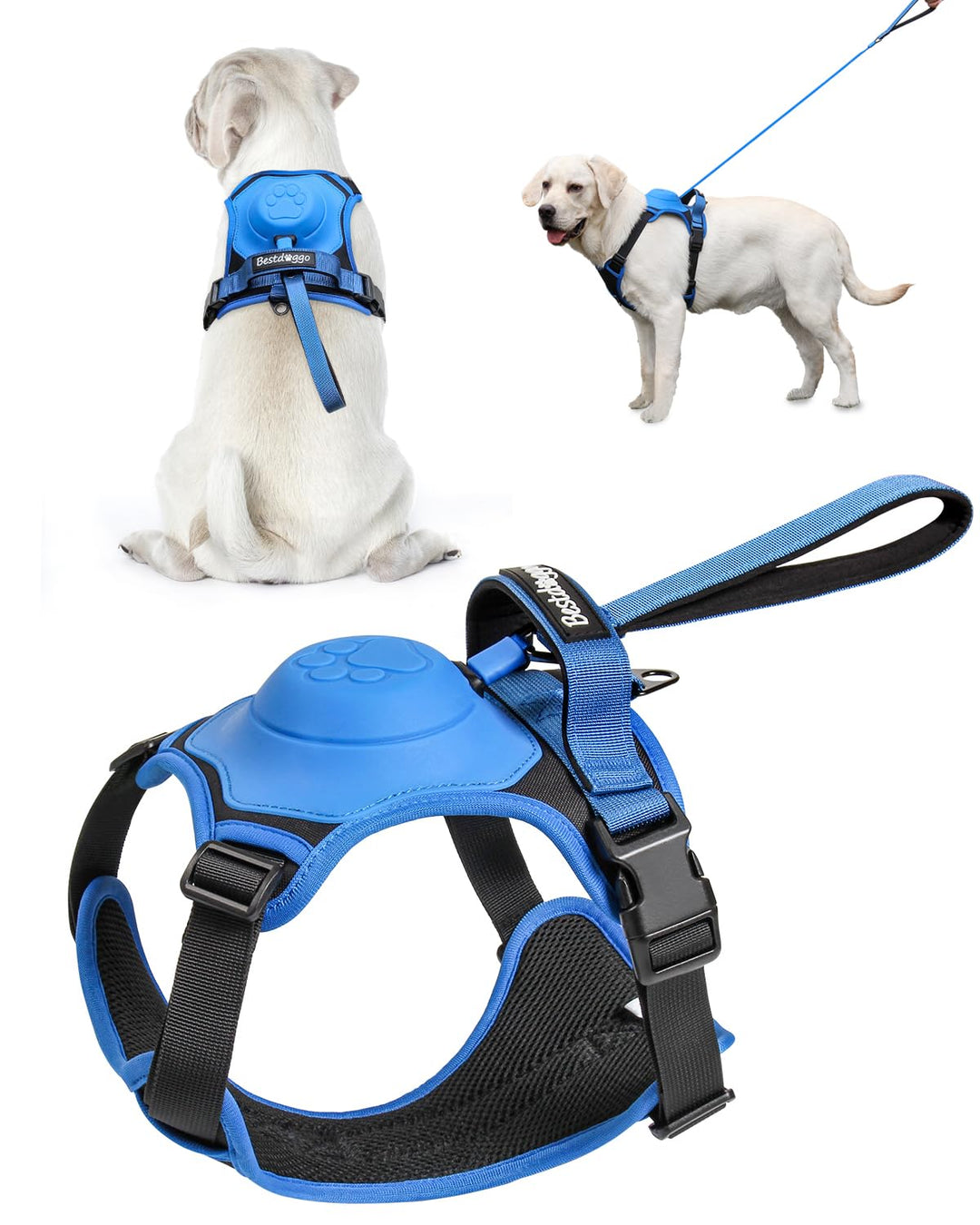 mamymarket™ - Hundsele och utdragbar koppelset All-in-One