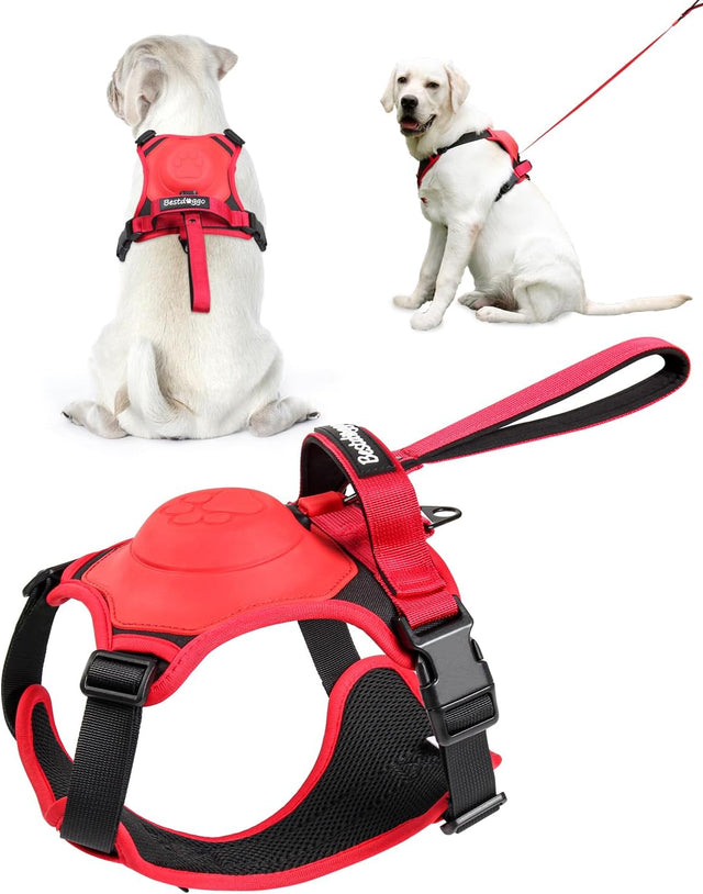 mamymarket™ - Hundsele och utdragbar koppelset All-in-One