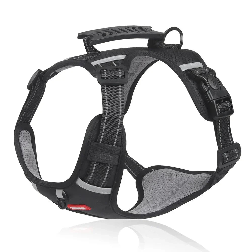 NoPull Hundsele – WalkEase