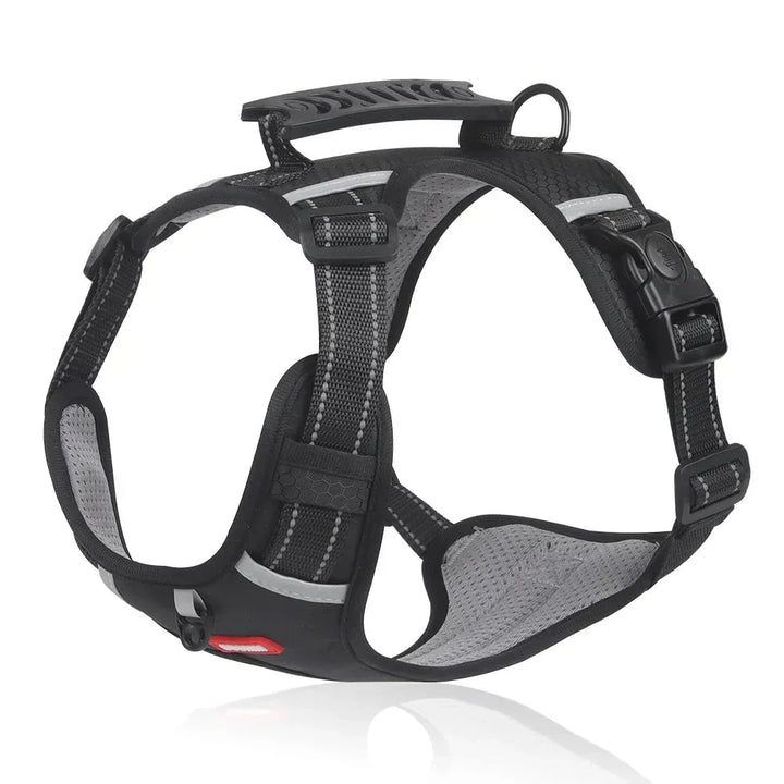 NoPull Hundsele – WalkEase