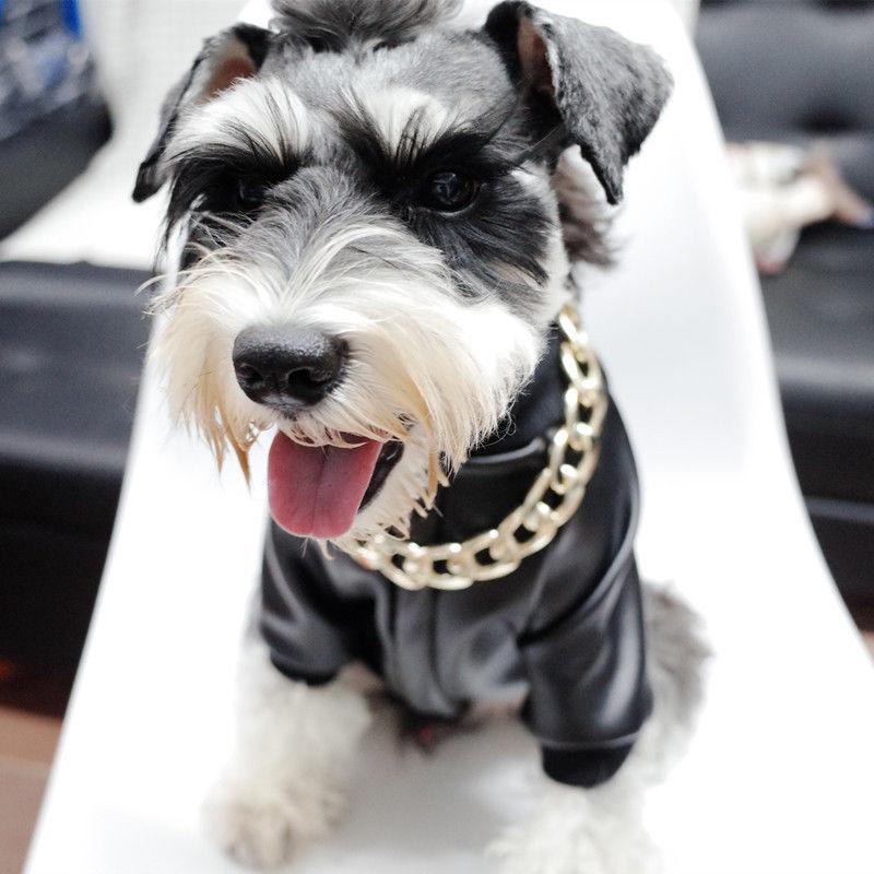 Husdjur Smycken Tjock Guld Kedja Halsband