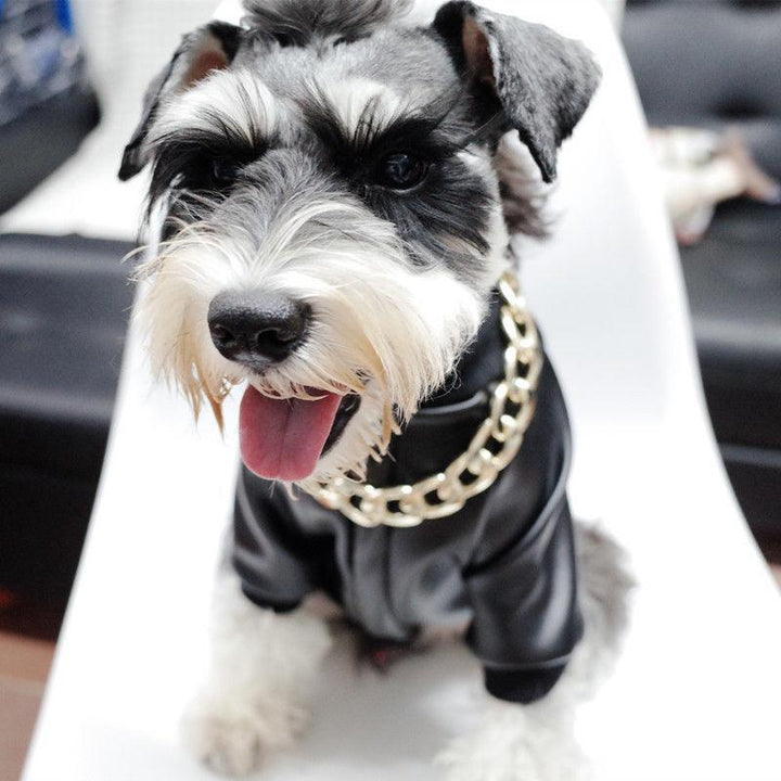 Husdjur Smycken Tjock Guld Kedja Halsband