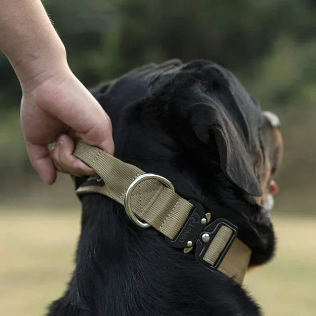 Taktisk Hundhalsband med Handtag – GripMaster